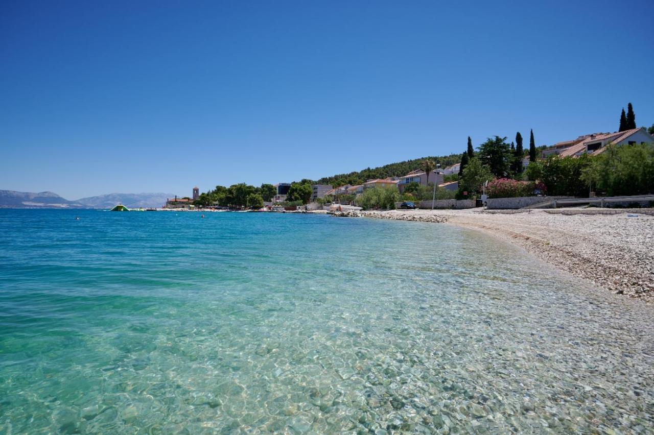 Lovor Trogir